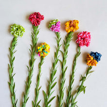 Load image into Gallery viewer, Wildflower Tulip Cotton Scrunchies - Pack of 7