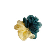 Load image into Gallery viewer, Wildflower Double Sheer Scrunchies - Pack of 7-3
